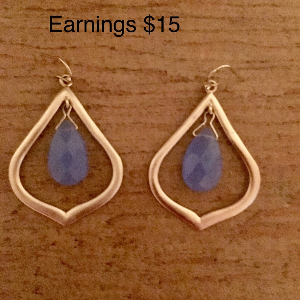 Fun Earings